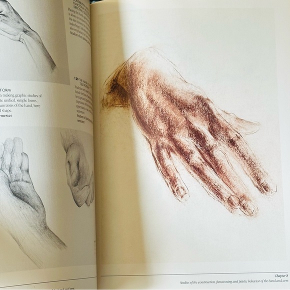 The Artists’ Guide to Human Anatomy An Illustrated Reference Hardcover Book - Picture 5 of 16